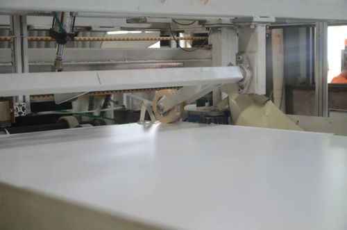 素板美容院 ,华洲又一条饰面板生产线投产了