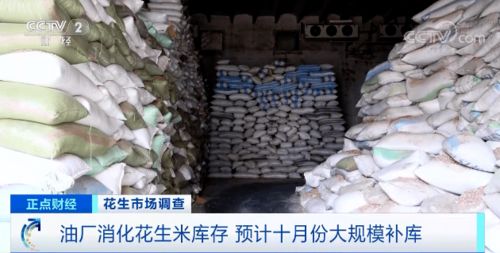 涤纶线市场连续降价，跌幅超20%背后的原因与影响
