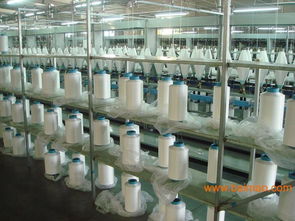 专业涤纶长丝加捻加工与蒸纱服务 生产厂家与价格解析